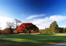 淘汰赛巅峰对决!关东火狐队小胜庐州青龙队,羽毛球赛场再起波澜;传控打穿防线的简单介绍 淘汰赛巅峰对决!关东火狐队小胜庐州青龙队,羽毛球赛场再起波澜;传控打穿防线的简单介绍